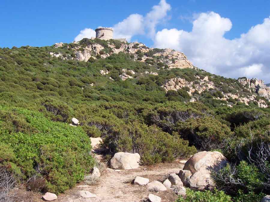 Sentier dans le maquis menant à la tour génoise de Campomoro en Corse-du-Sud