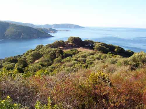 Pointe verdoyante surplombant la mer à proximité du Capo Rosso, en Corse-du-Sud
