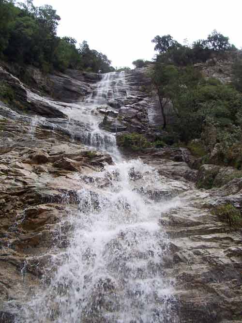 cascade du Voile de la Mariée en Corse dévalant une paroi rocheuse au cœur de la forêt, vue en contre-plongée