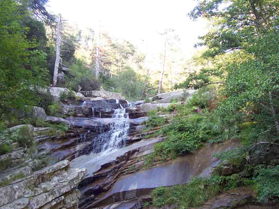 cascade en paliers dans la forêt d’Aïtone en Corse, ruisselant sur les dalles de granit au cœur d’une végétation luxuriante