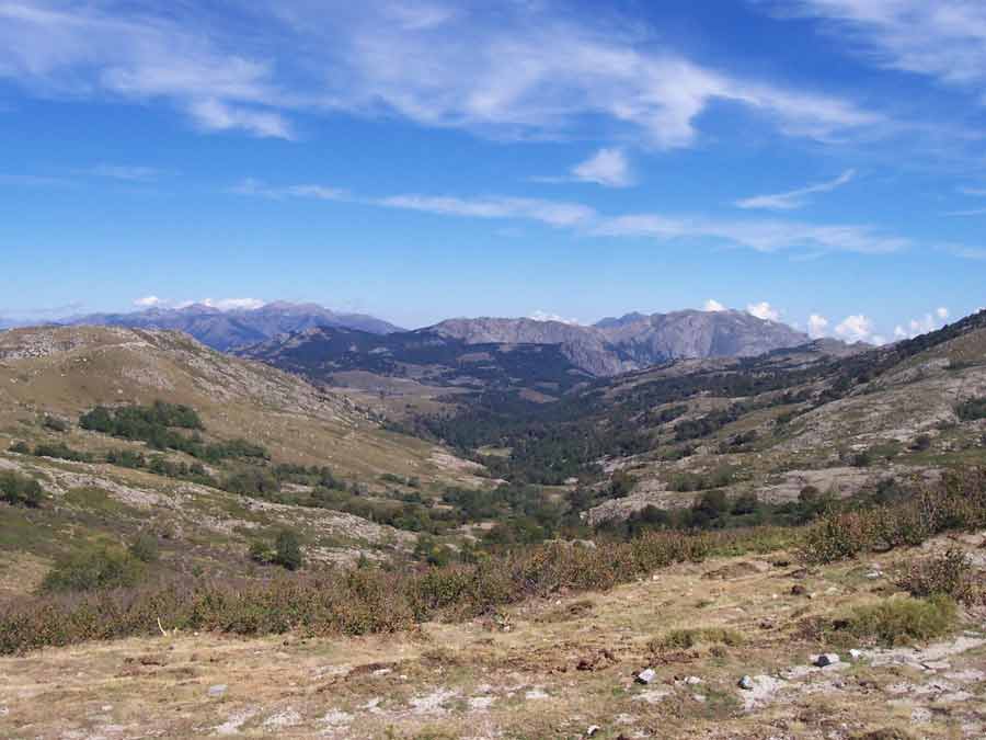 Vallées verdoyantes et montagnes du monte Incudine, Corse, sous un ciel bleu lumineux