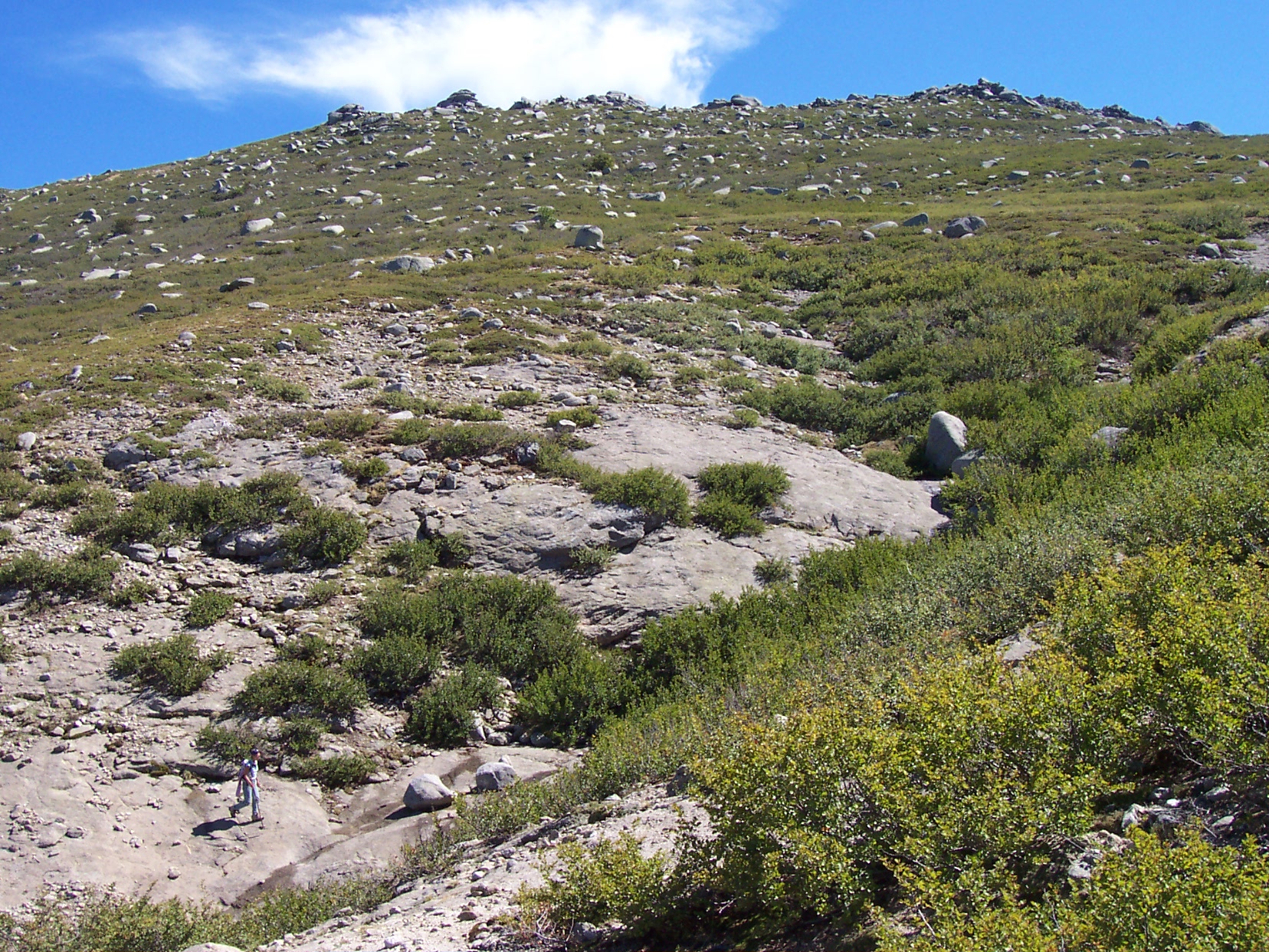 Sentier rocailleux et végétation alpine sur les pentes du Monte Incudine en Corse