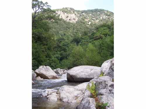 Rochers et végétation des piscines naturelles de Zoza, Corse, en été