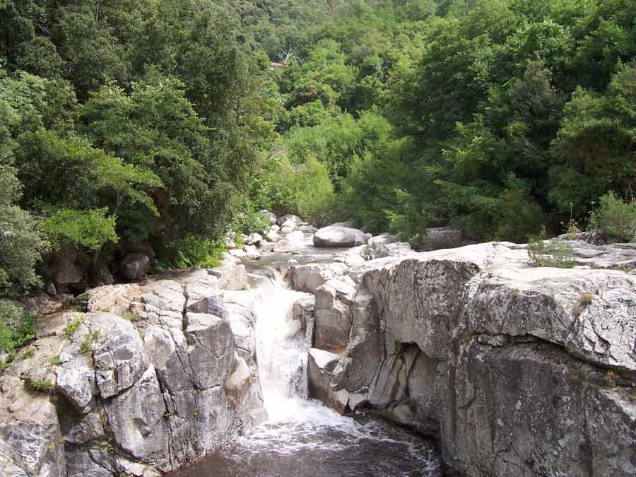 Cascade et rochers des piscines naturelles de Zoza en Corse, entourés de verdure