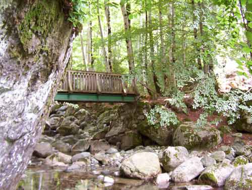Petite passerelle en bois sur un sentier de randonnée vers la cascade des Anglais en Corse-du-Sud