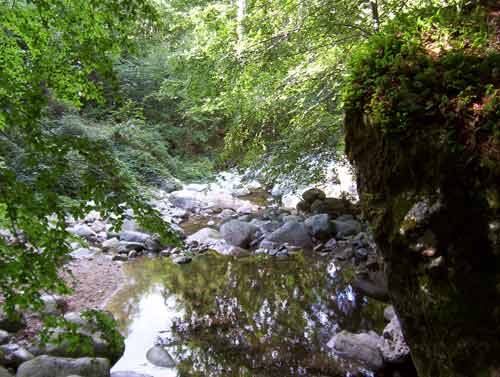 Rivière Agnone entourée de rochers et de végétation luxuriante près de la cascade des Anglais en Corse