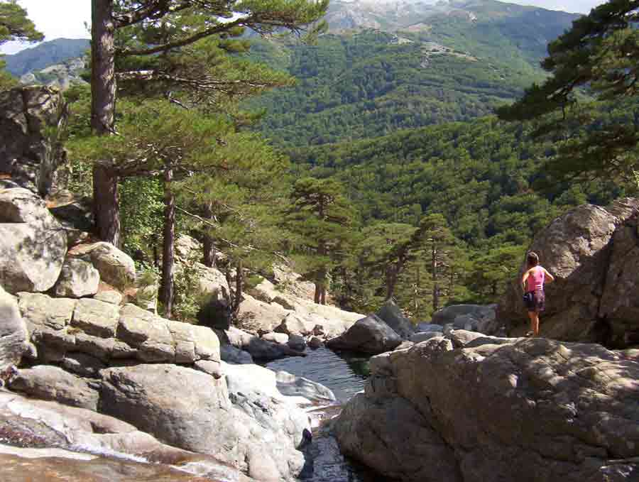 Randonnée dans la forêt de Vizzavona avec vue sur les vasques naturelles de la cascade des Anglais en Corse-du-Sud