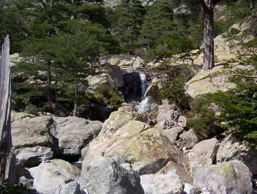 Petite cascade cachée entre les rochers et les pins laricio sur le sentier vers la cascade des Anglais en Corse