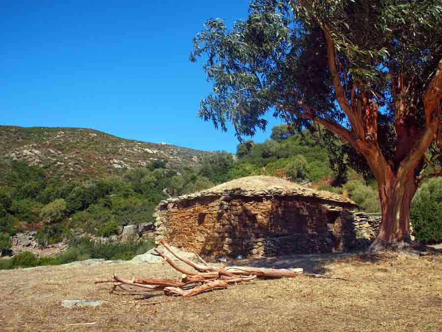 Pagliaghju en pierre sèche au cœur du maquis corse, ancien abri traditionnel du désert des Agriates