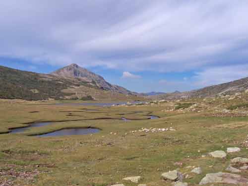 Pozzines verdoyantes et étendues d’eau autour du lac de Nino en Corse, sous un ciel bleu