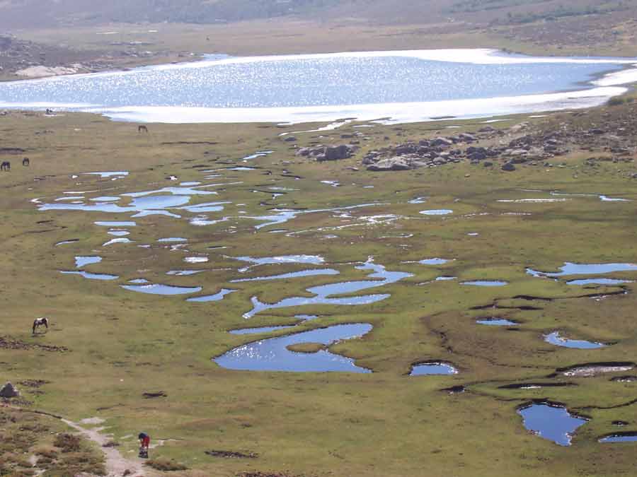 Paysage des pozzines inondées et du lac de Nino en Corse, avec chevaux et randonneur au loin