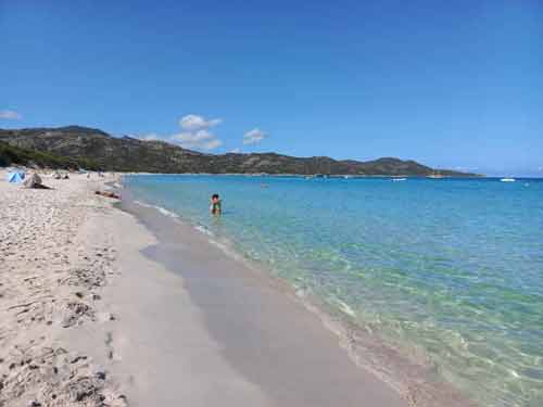 Baignade sur la plage de Saleccia (plus belle plage de Corse) dans le désert des Agriates, avec sable fin et mer turquoise