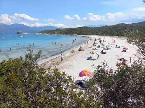 Baignade et farniente sur la plage du Loto, joyau du désert des Agriates en Corse