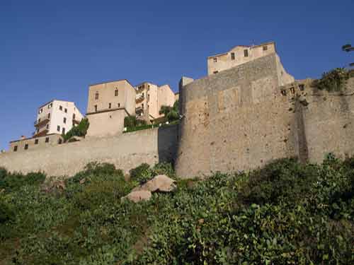 Remparts et maisons de la citadelle de Calvi en Corse sous un ciel bleu