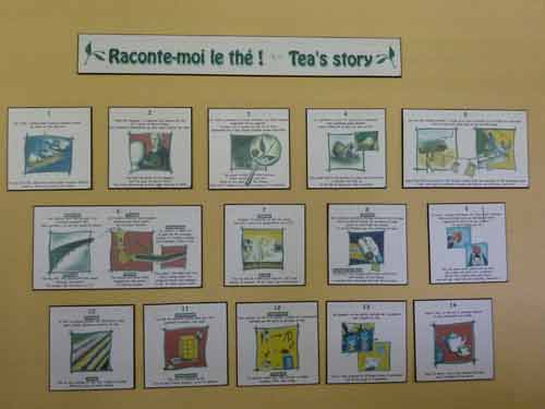 Panneau illustrant l’histoire du thé au musée de Bois Chéri à l’île Maurice
