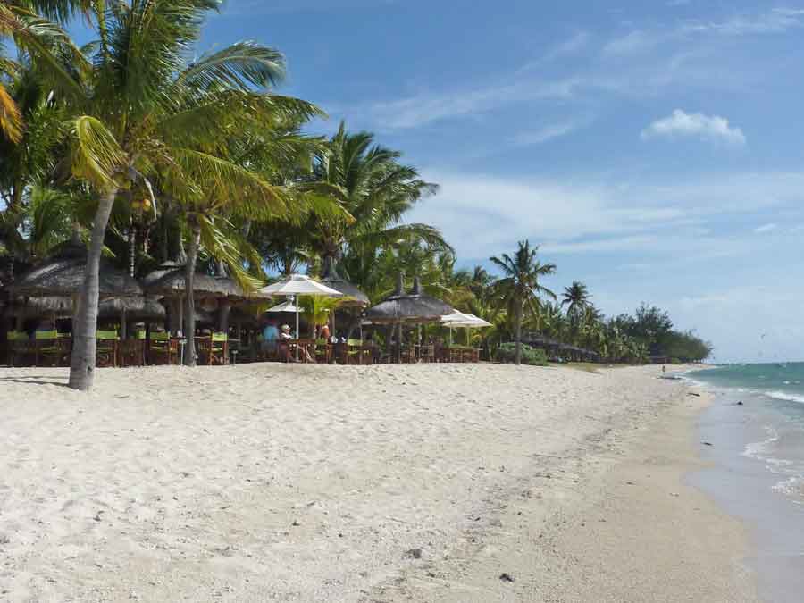 Bord de mer ombragé par les cocotiers sur la plage du Morne Brabant à l’île Maurice