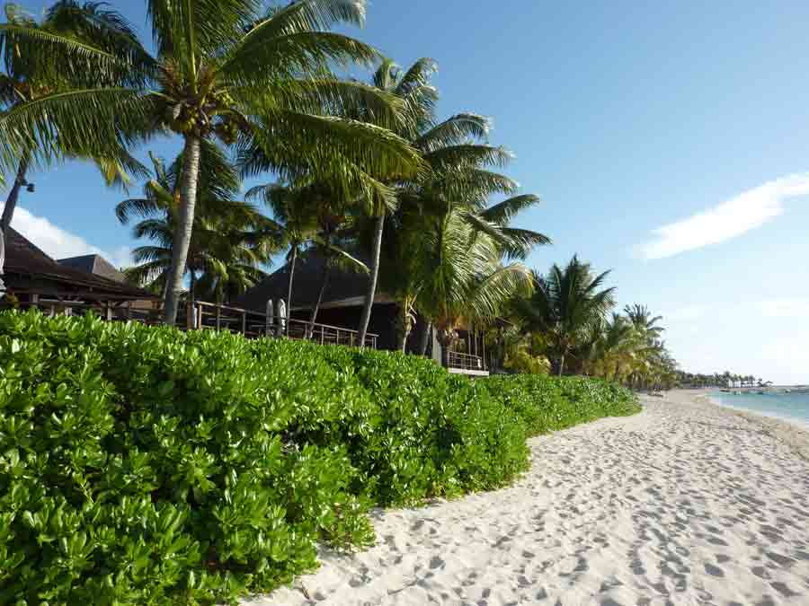 Plage bordée de végétation tropicale et bungalows au Morne Brabant à l’île Maurice