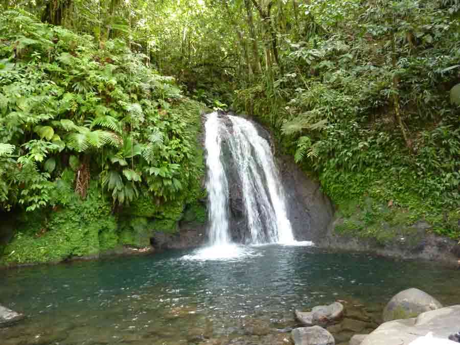 Cascade aux Écrevisses en Guadeloupe, chute d’eau dans un bassin naturel entouré de forêt tropicale