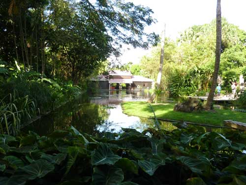 Entrée du jardin botanique de Deshaies en Guadeloupe, bassin entouré de végétation tropicale
