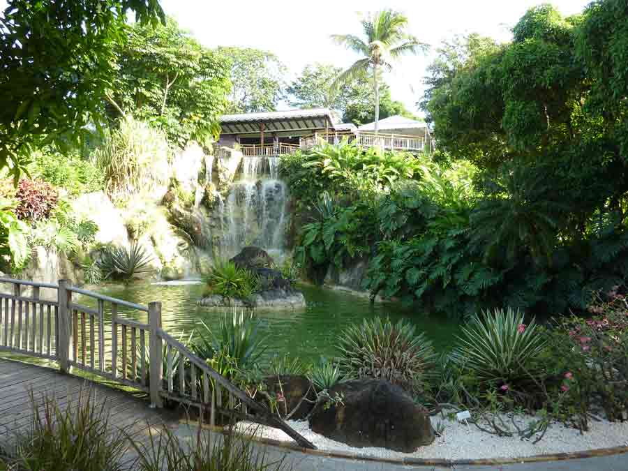 Cascade et bassin ornemental dans le Jardin botanique de Deshaies en Guadeloupe
