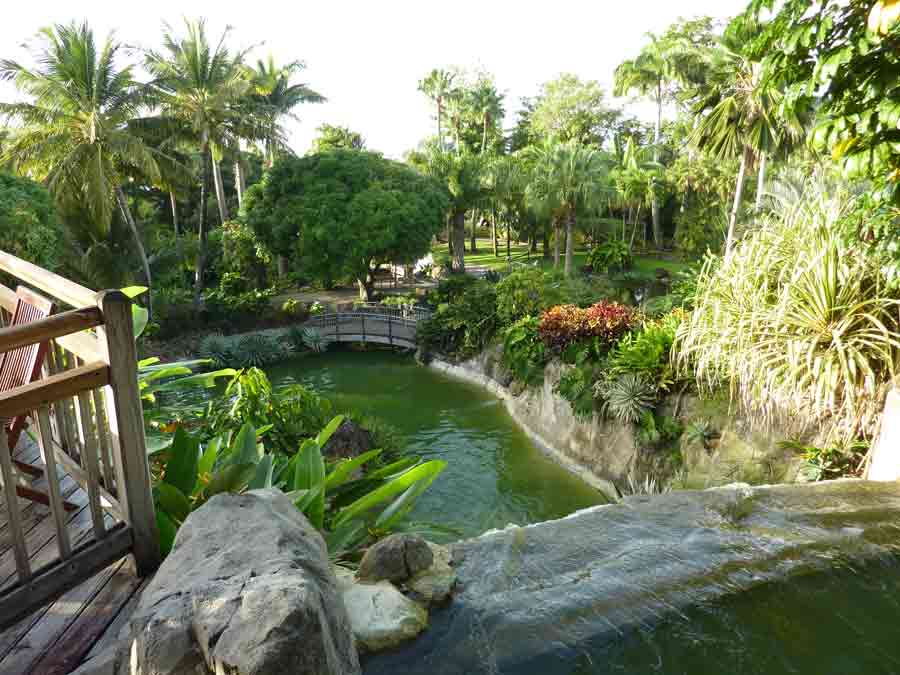 Vue panoramique sur le bassin et la végétation tropicale depuis le restaurant du jardin botanique de Deshaies en Guadeloupe