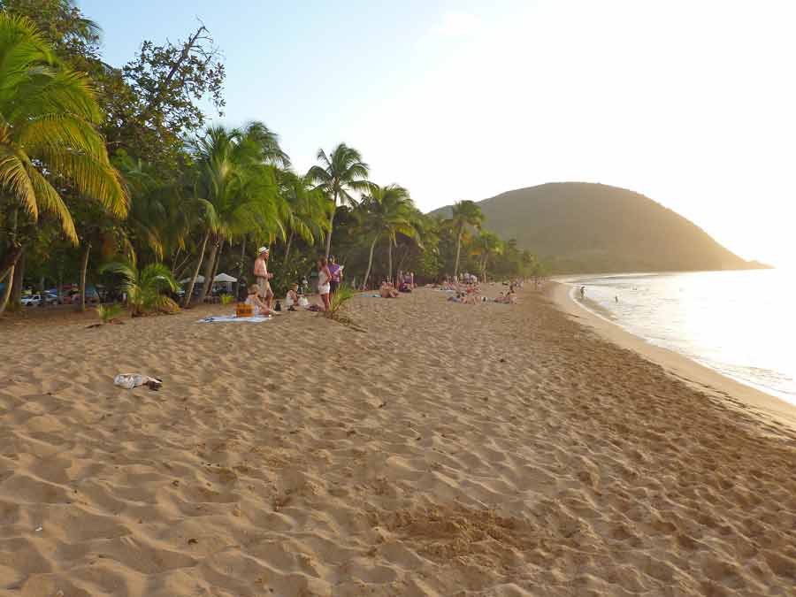 Plage de la Grande Anse à Deshaies en Guadeloupe au coucher du soleil, sable doré et cocotiers en bord de mer