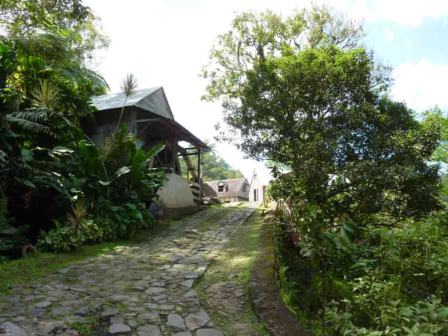 Chemin pavé bordé de végétation tropicale menant aux bâtiments de l’Habitation La Grivelière en Guadeloupe