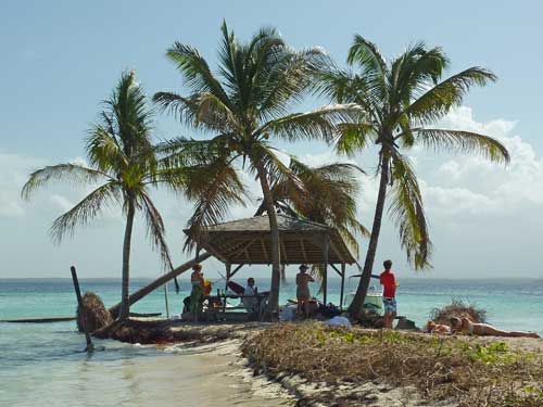 Palmiers et abri en bois sur l’îlet Caret, petit paradis tropical en Guadeloupe