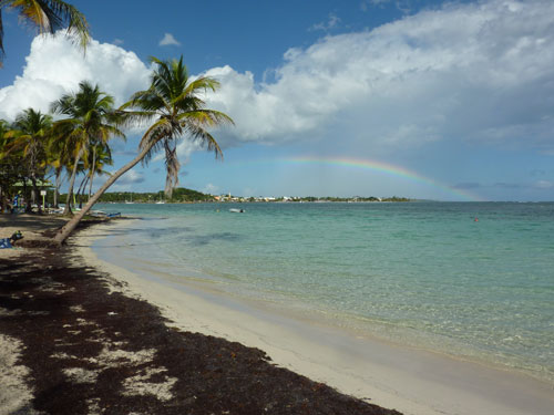 Arc-en-ciel au-dessus du lagon turquoise de la plage de la Caravelle à Sainte-Anne