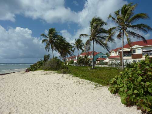 Maisons colorées et palmiers bordant la plage des Raisins-Clairs à Saint-François en Guadeloupe