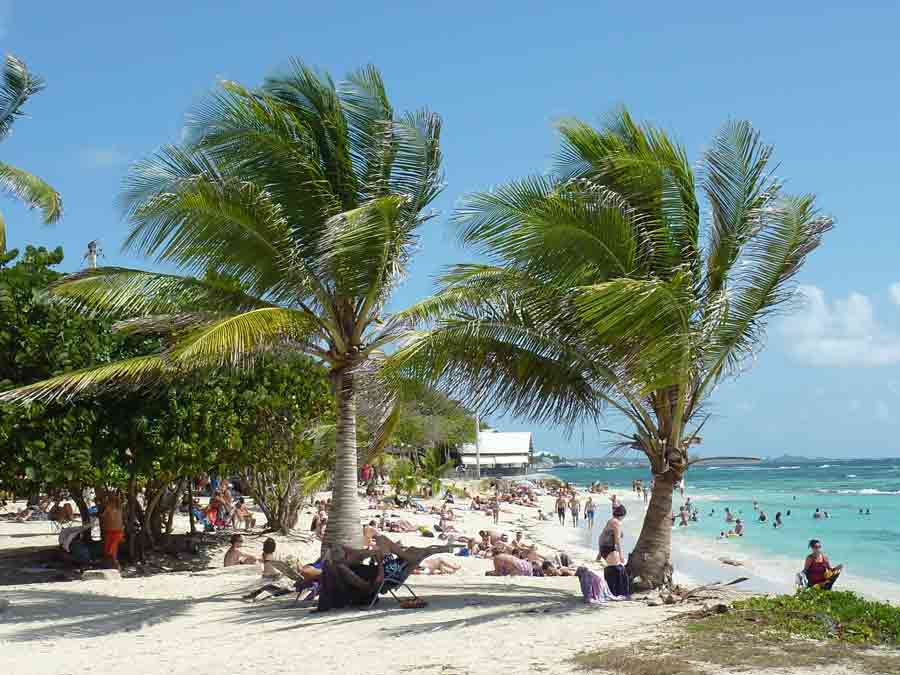 Plage animée des Raisins-Clairs à Saint-François avec palmiers et vacanciers au bord de l’eau