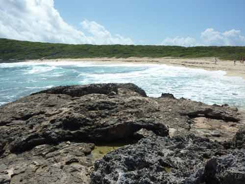 Falaises rocheuses et vagues puissantes à la Pointe des Châteaux en Guadeloupe