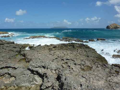 Rochers battus par la mer à la pointe des Châteaux, extrémité est de la Grande-Terre en Guadeloupe
