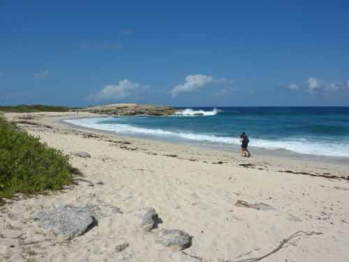 Promeneur sur la plage isolée de la pointe des Châteaux en Guadeloupe