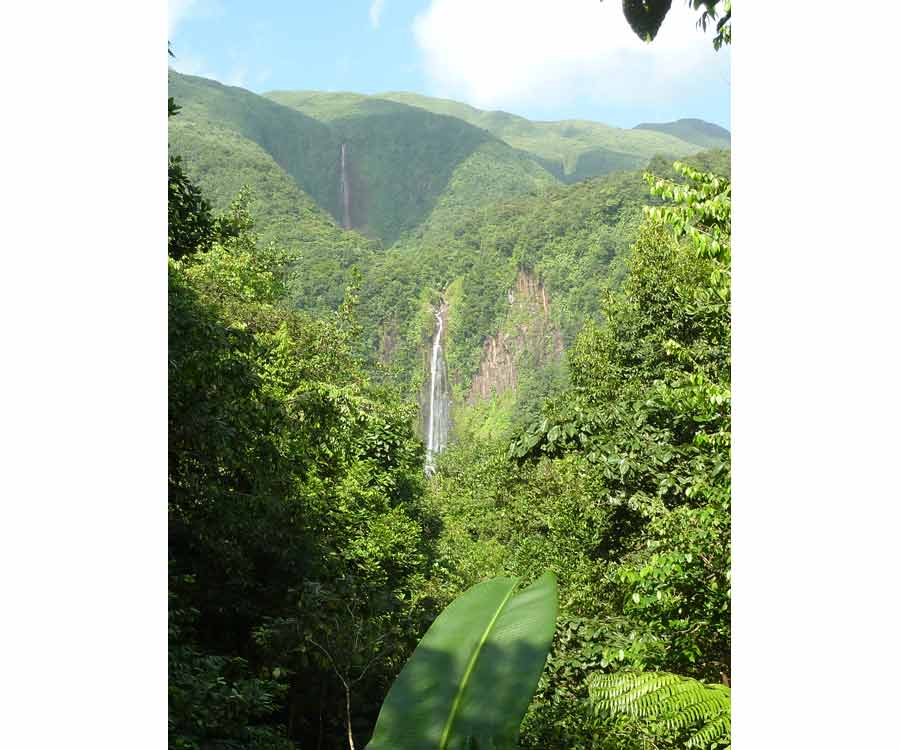 Vue sur les chutes du Carbet entourées de montagnes verdoyantes dans le parc national de la Guadeloupe