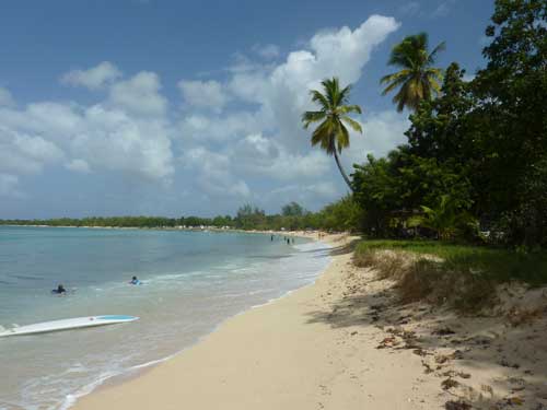 Plage du Souffleur à Port-Louis en Guadeloupe avec cocotiers et sable blanc bordant une mer turquoise