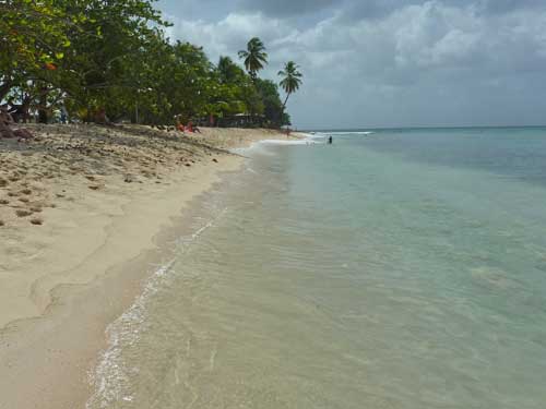 Eau claire et sable doré de la plage du Souffleur à Port-Louis en Guadeloupe