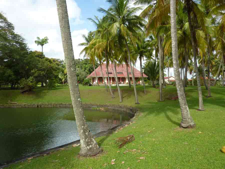 Maison créole entourée de palmiers dans le domaine verdoyant de la distillerie Longueteau à Capesterre-Belle-Eau en Guadeloupe