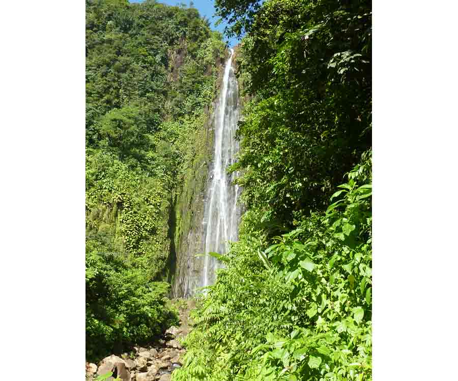 vacances-guadeloupe-93 Deuxième chute du Carbet, impressionnante cascade de 100 mètres au cœur de la forêt tropicale en Guadeloupe