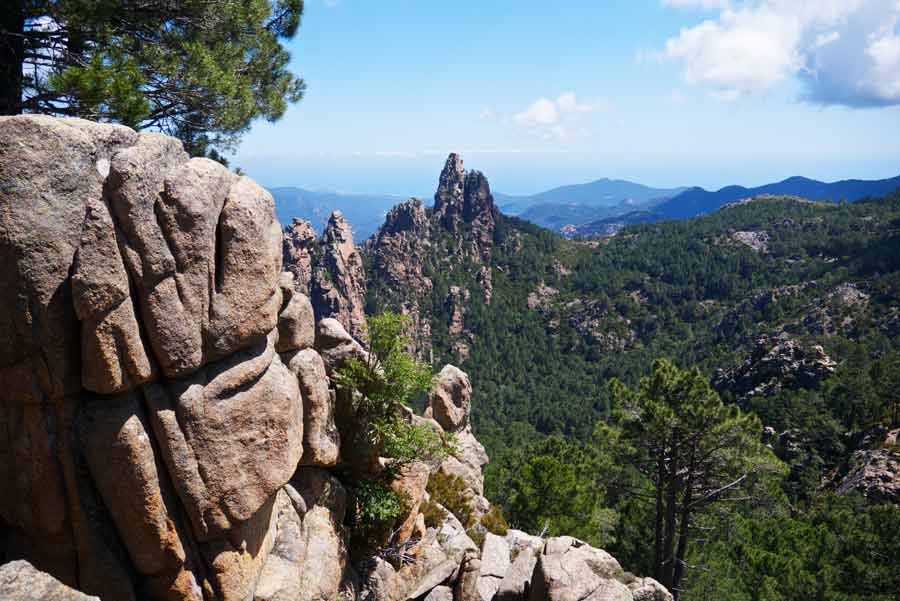 Panorama sur les aiguilles rocheuses et la forêt du GR20 entre Conca et Paliri, dans le massif montagneux de Corse