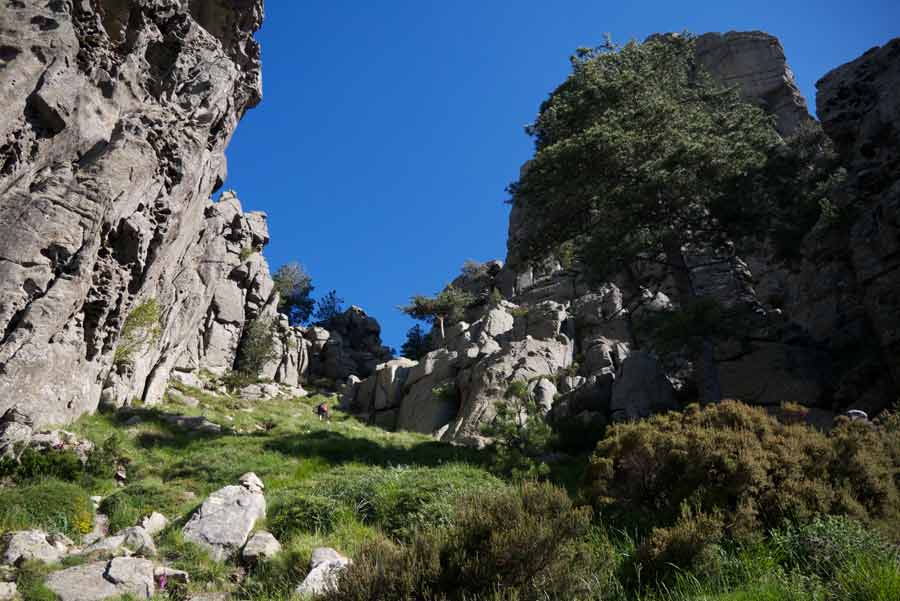 Passage verdoyant et encaissé du GR20 sud entre Paliri et Bavella, entouré de falaises et de pins corses