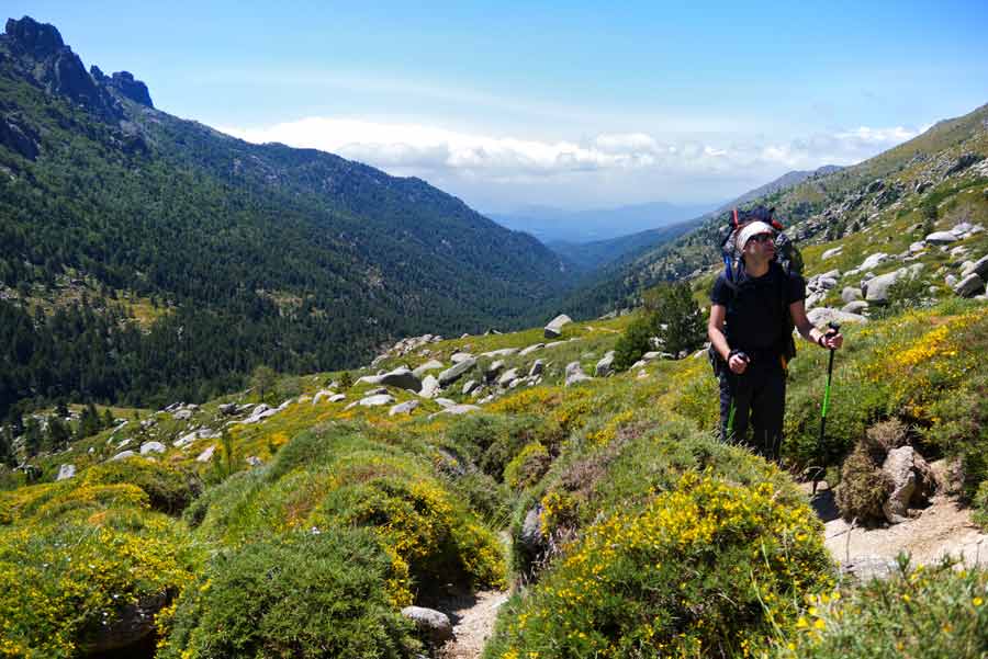 Randonneur sur les hauteurs fleuries du GR20 sud entre le refuge de Paliri et le refuge d’Asinau, en Corse