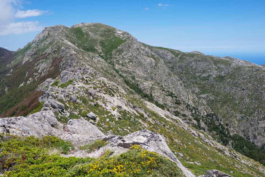 Crêtes montagneuses du GR20 sud en Corse entre Asinau et Usciolu, avec végétation alpine et ciel dégagé