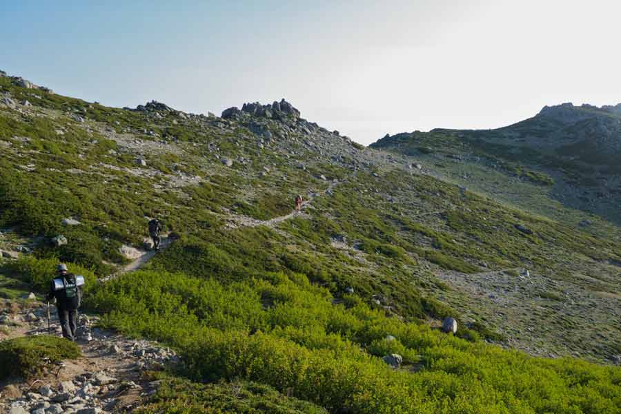 Randonneurs sur le sentier du GR20 entre Usciolu et le col de Verde, traversant les crêtes verdoyantes sous le soleil matinal de Corse