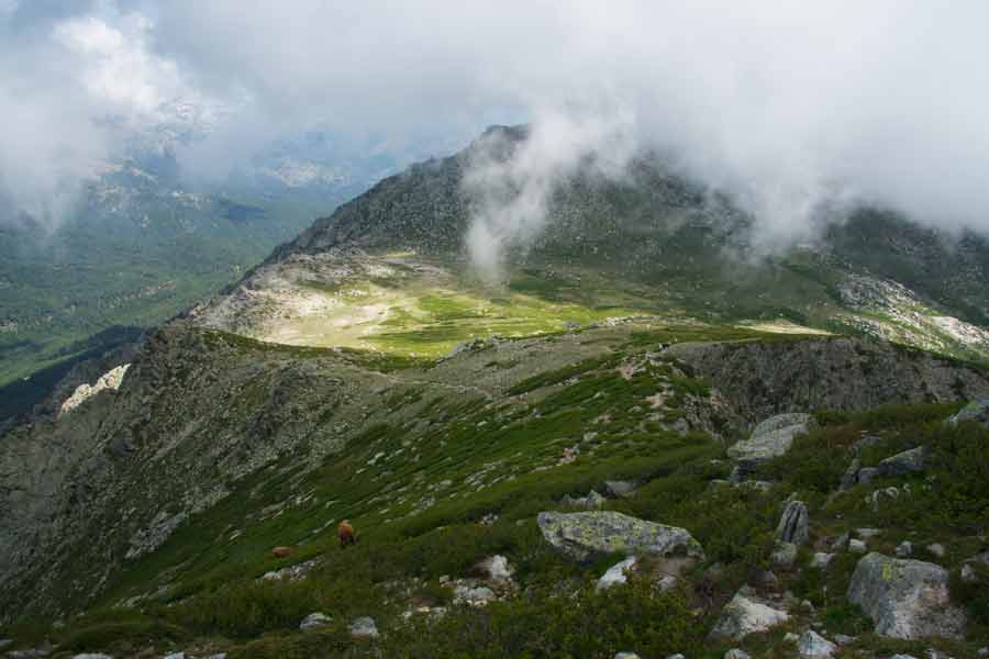 Panorama du GR20 sous les nuages, entre les crêtes verdoyantes et les alpages de montagne en Corse, près du col de Verde
