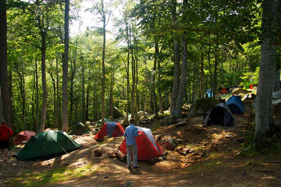 Campement de tentes sous les pins dans la forêt de Saint-Antoine sur le GR20, à proximité du col de Verde en Corse