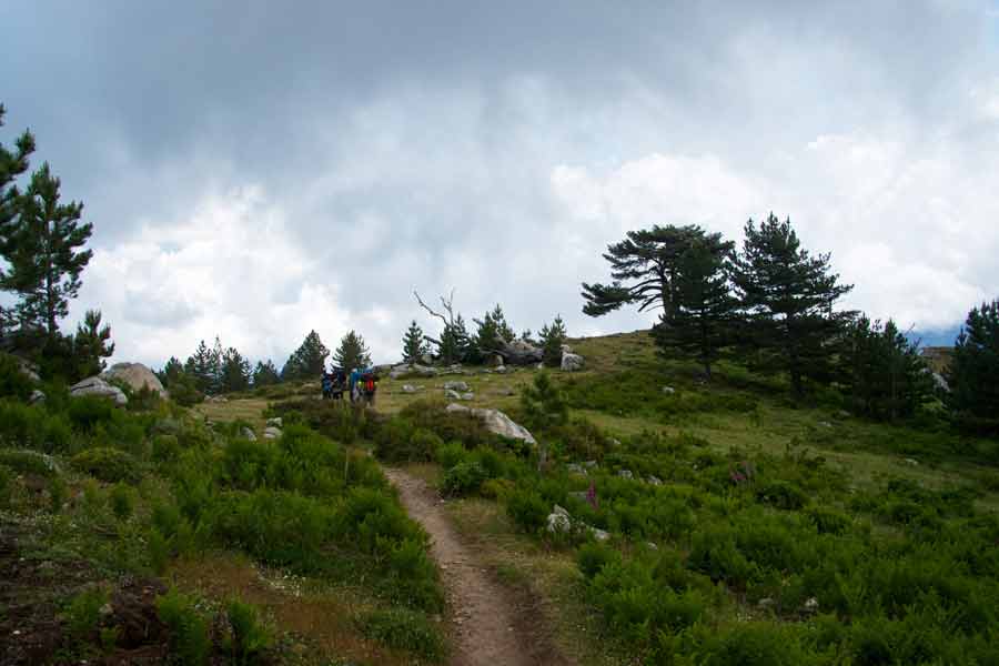 Randonneurs sur le sentier du GR20 vers Vizzavona, à travers les plateaux verdoyants de Corse