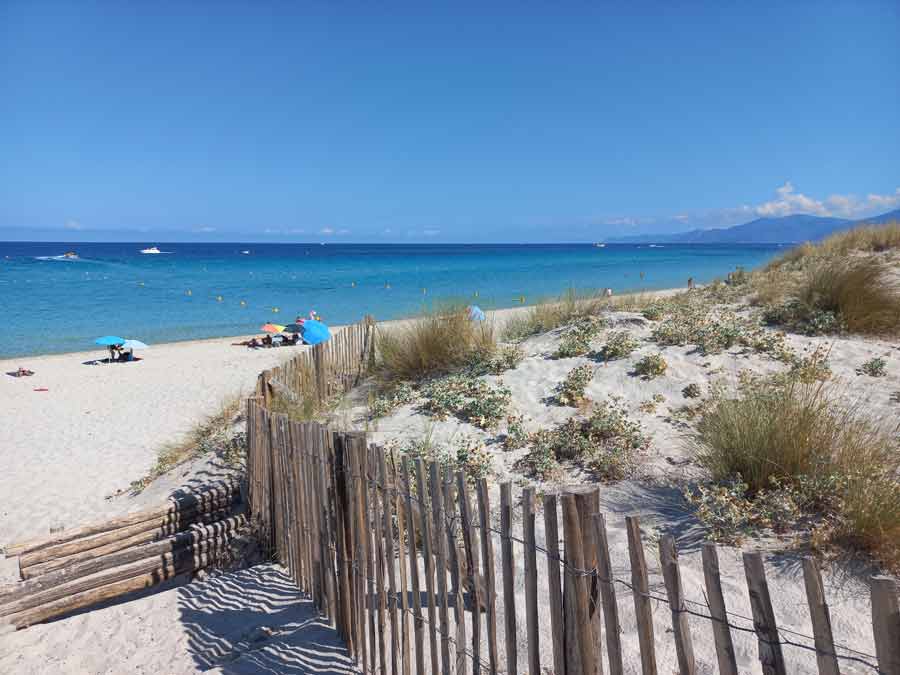 Plage de Saleccia (étape lors d'un road trip en Corse) avec dunes, barrière en bois et mer turquoise en arrière-plan