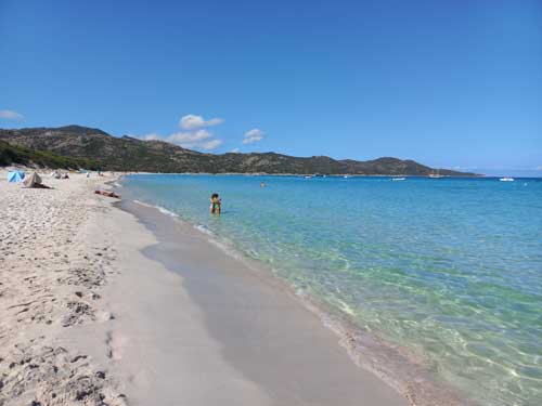 Le sable blanc et l'eau turquoise de la plage de Saleccia, dans le désert des Agriates