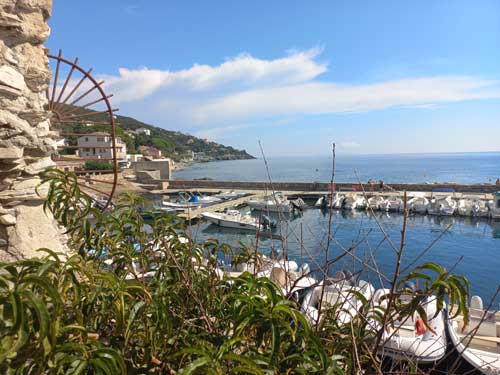 Vue sur le port d'Erbalunga depuis les hauteurs du village, entre pierres anciennes et végétation méditerranéenne
